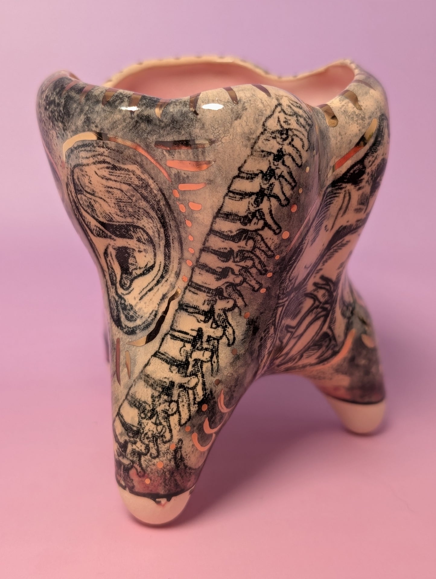 Anatomical Tooth Cup with Gold Glaze