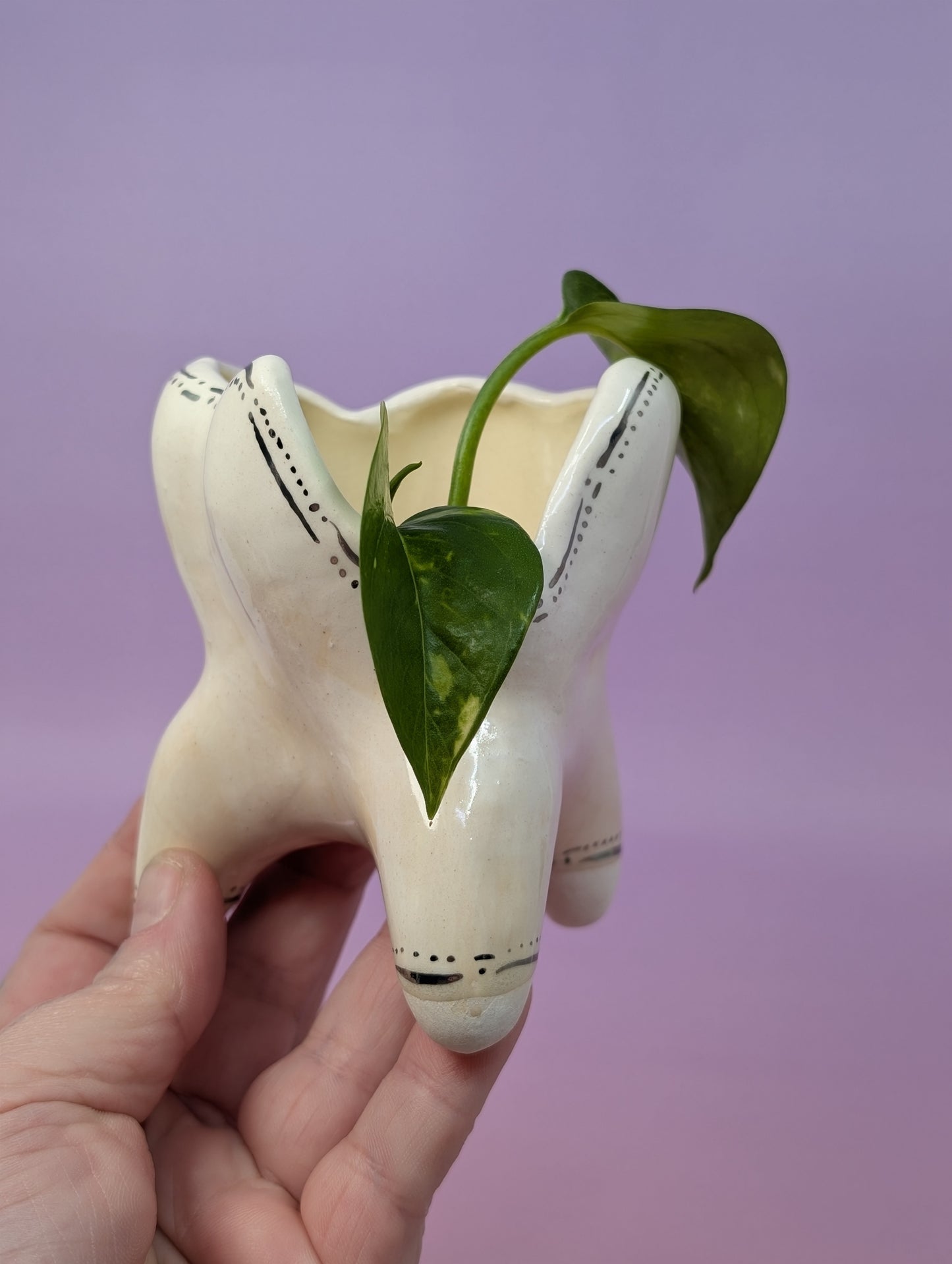 Tooth Cup with Silver Glaze
