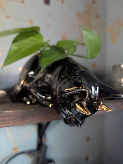 Devil Dink Planter W/Gold Horns