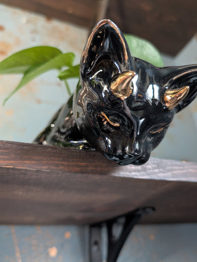 Devil Dink Planter W/Gold Horns