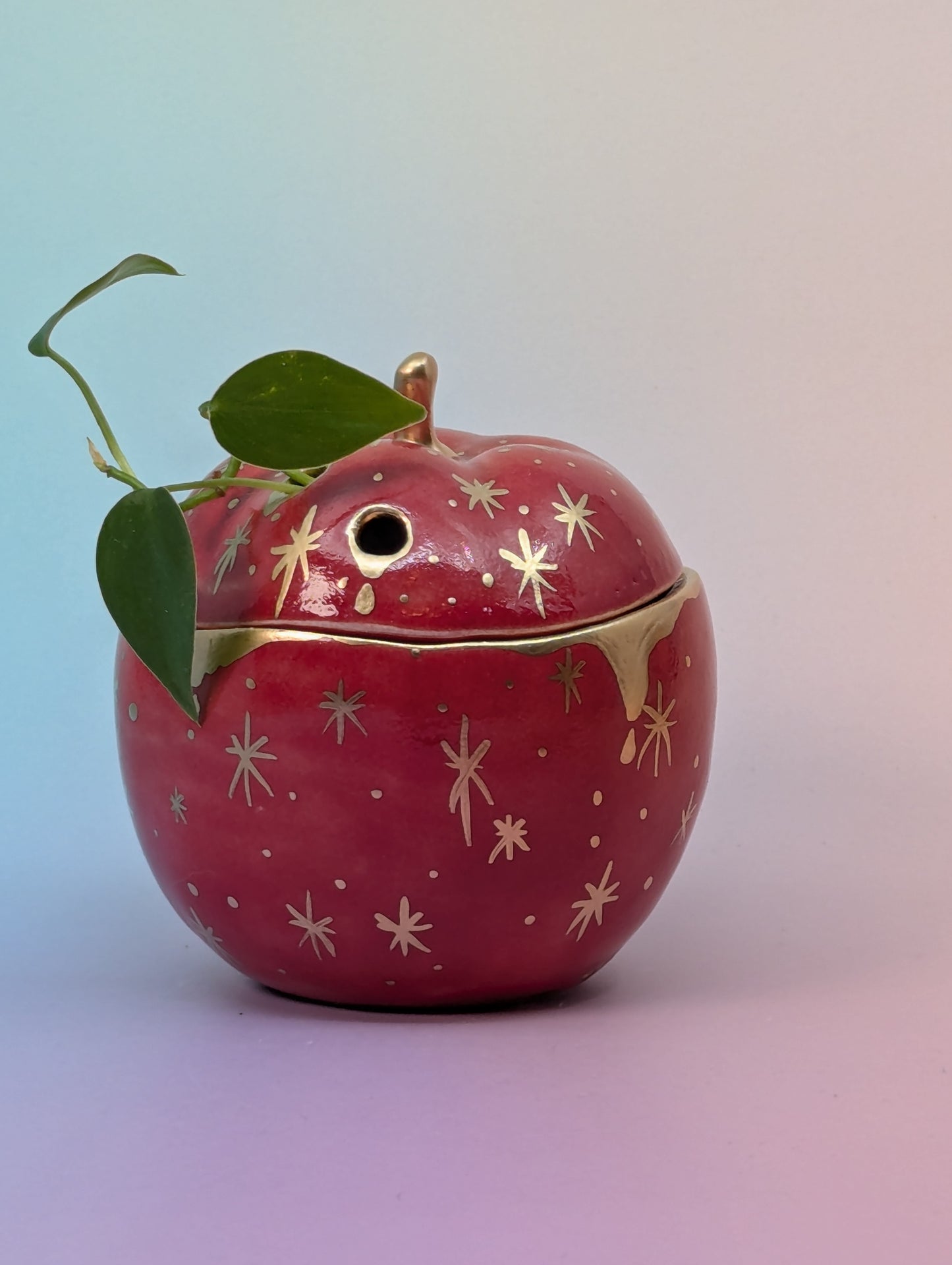 Apple Jar/Vase with Holes