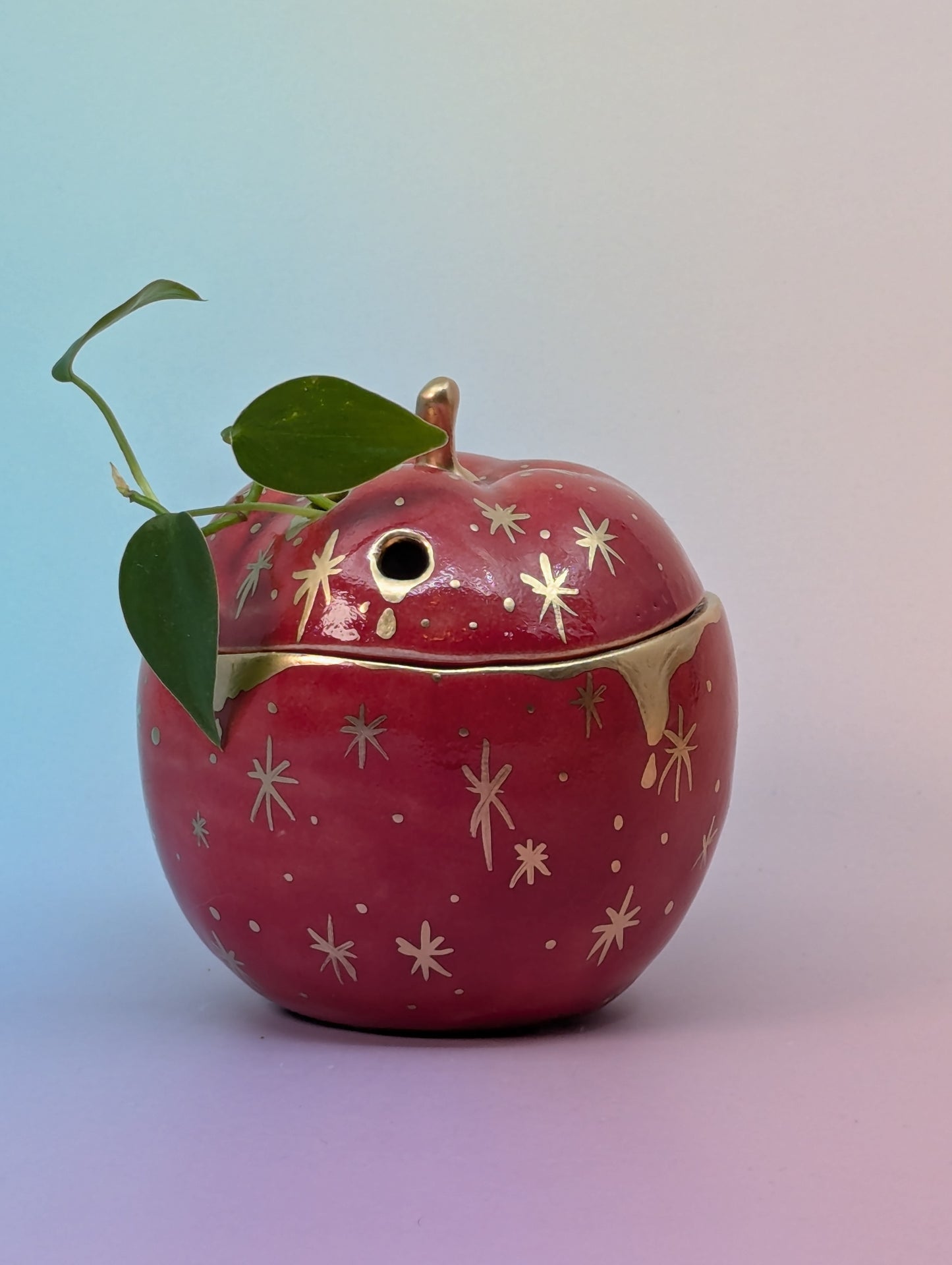 Apple Jar/Vase with Holes