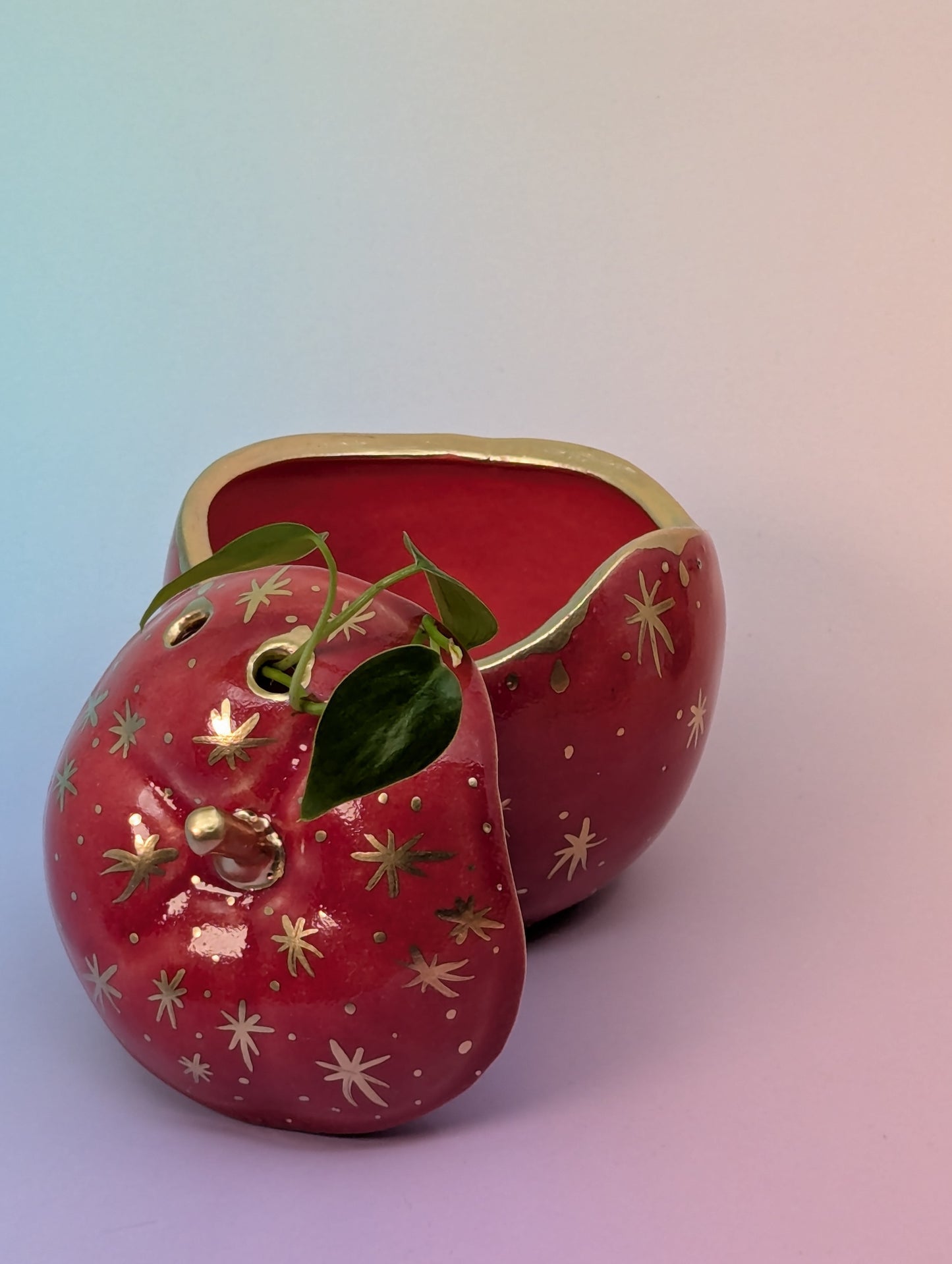 Apple Jar/Vase with Holes