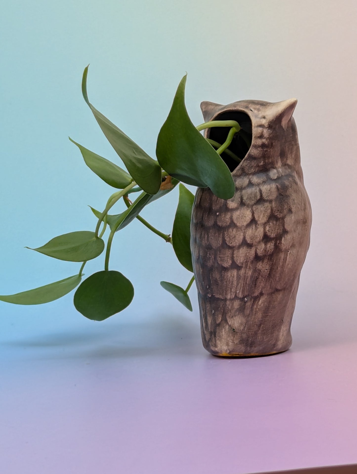 Hooter Planter