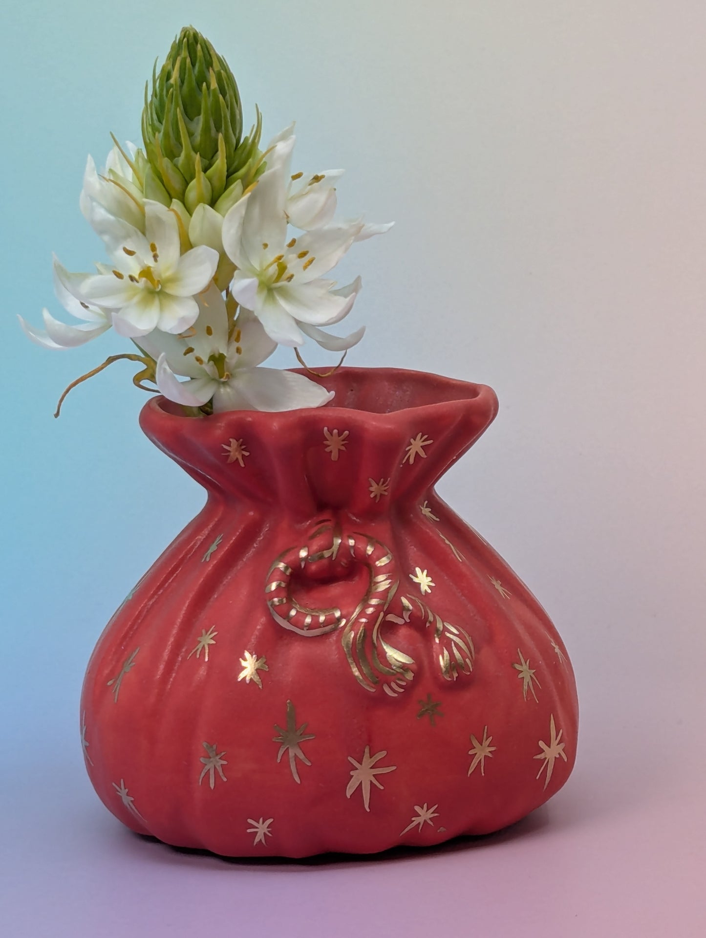 Salt Pouch/Vase with Stars & Wooden Spoon