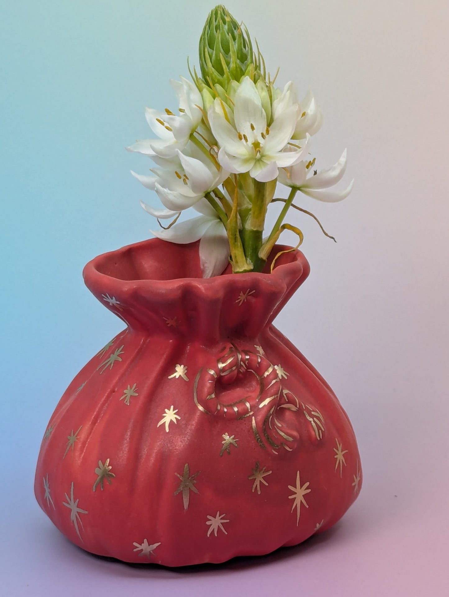 Salt Pouch/Vase with Stars & Wooden Spoon