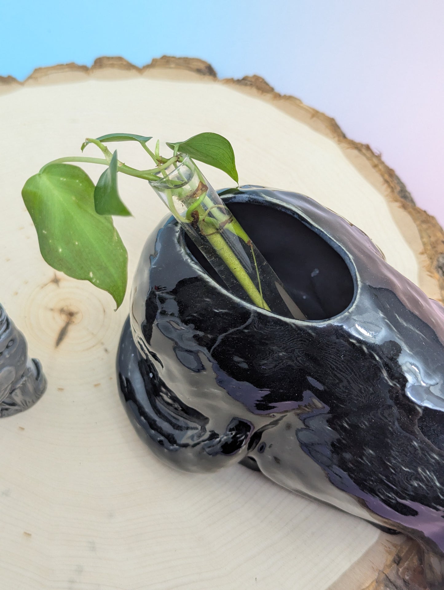 Devil Dink Planter W/Gold Horns