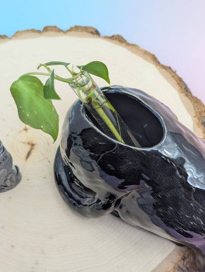 Devil Dink Planter W/Gold Horns