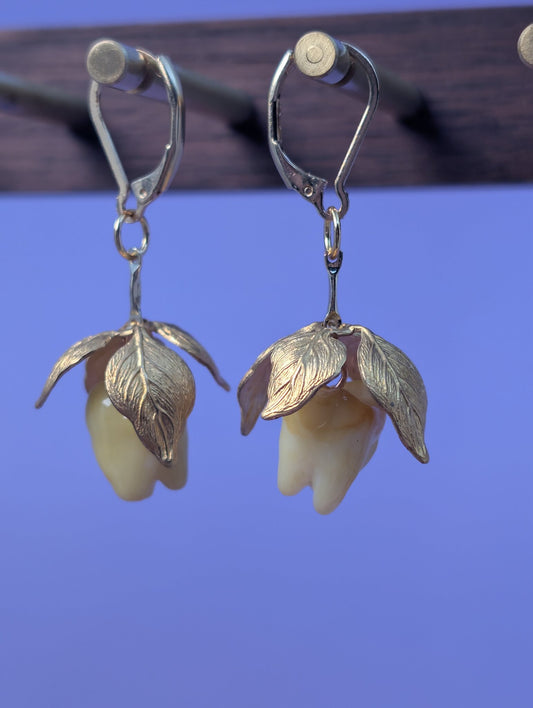 EAR-0120_0002.jpg