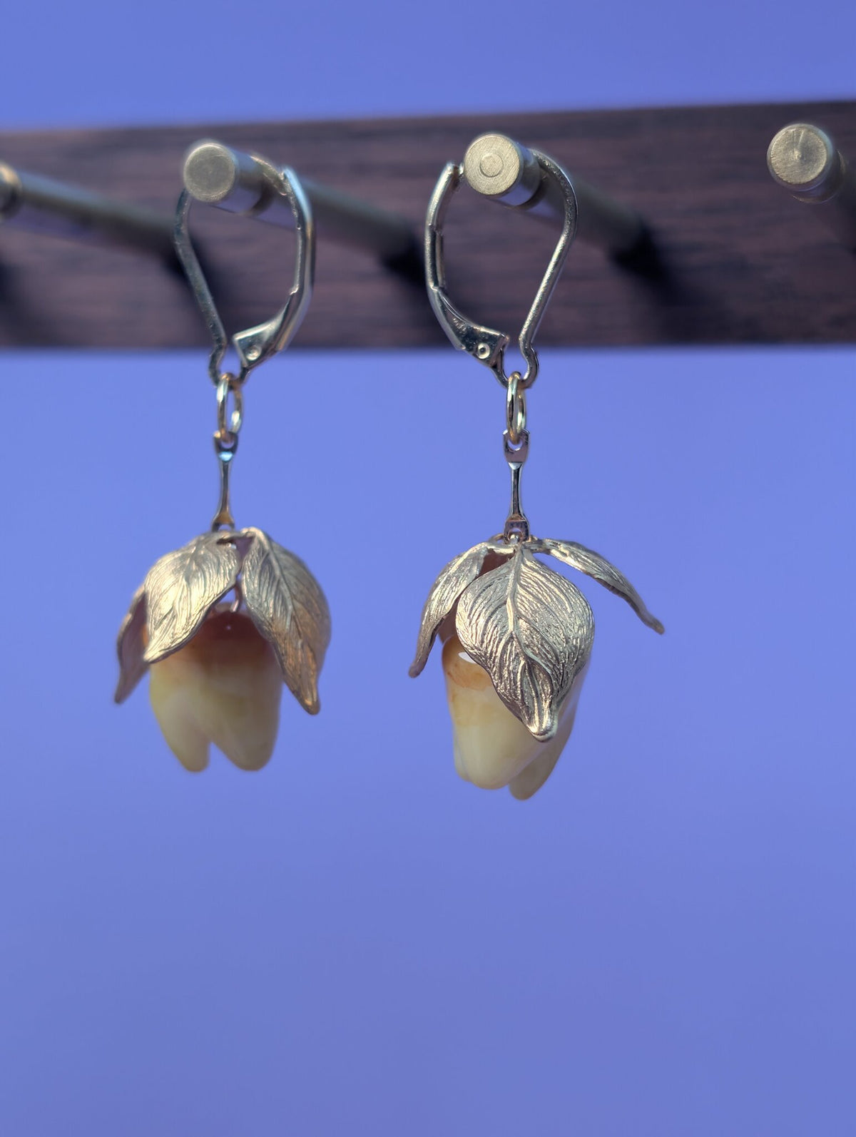 EAR-0123_0001.jpg