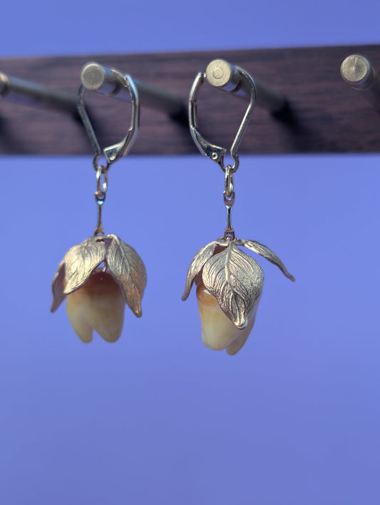 EAR-0123_0001.jpg