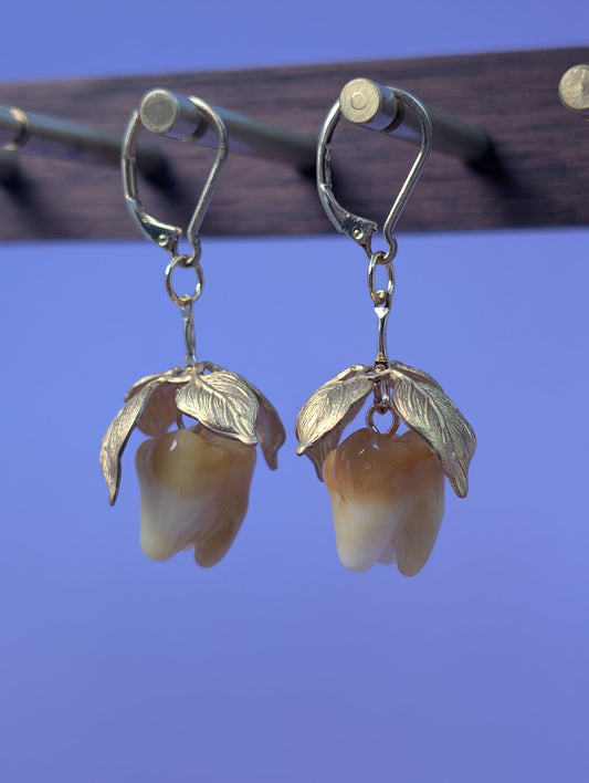 EAR-0126_0001.jpg