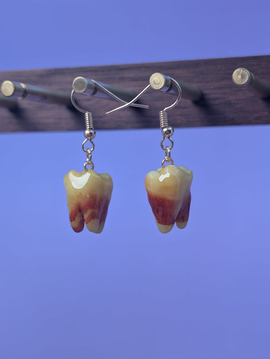EAR-0132_0001.jpg