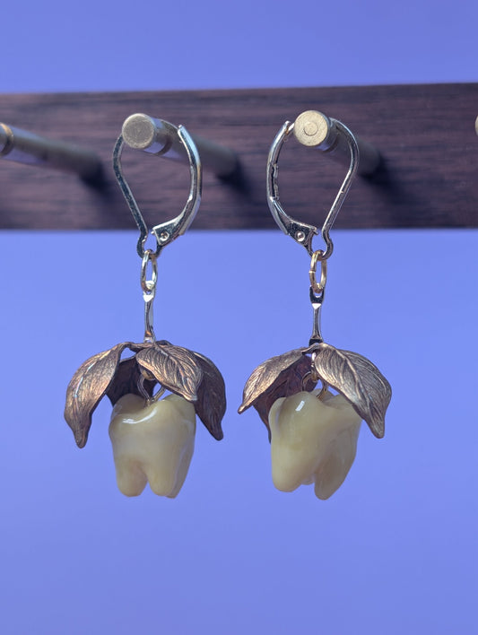 EAR-0141_0002.jpg