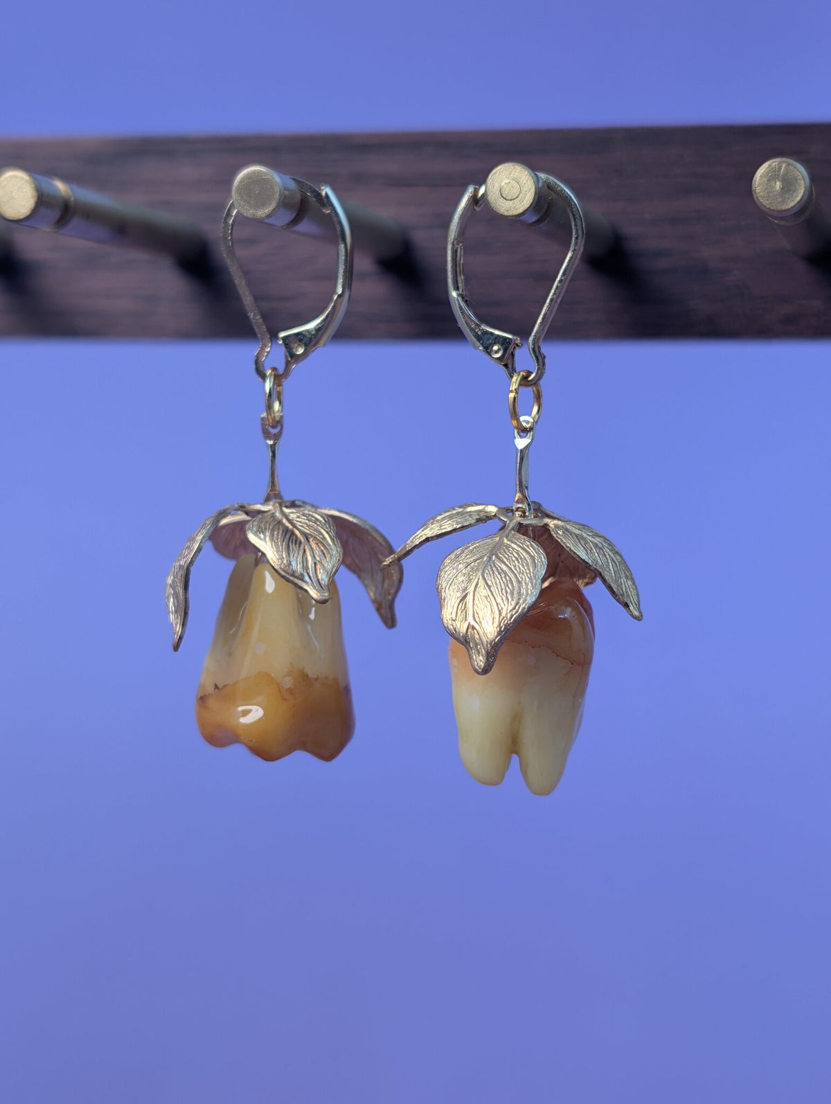 EAR-0143_0001.jpg