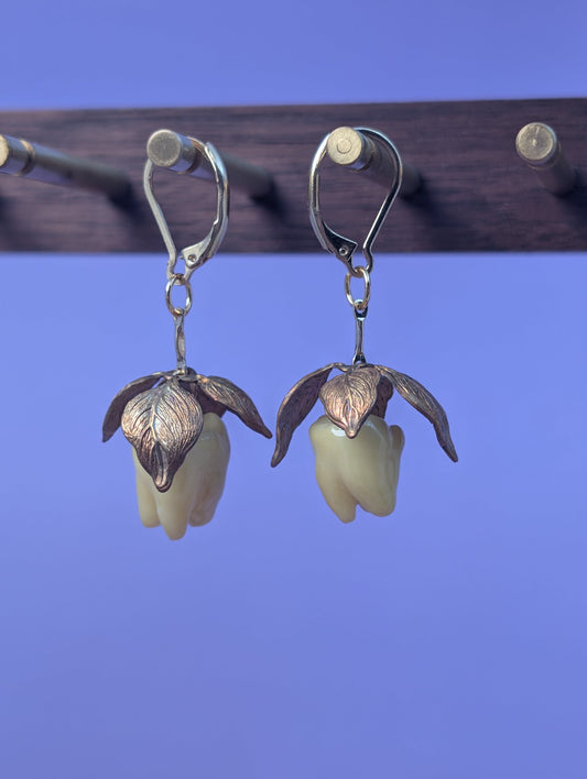 EAR-0144_0001.jpg