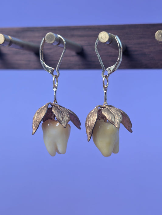 EAR-0146_0001.jpg