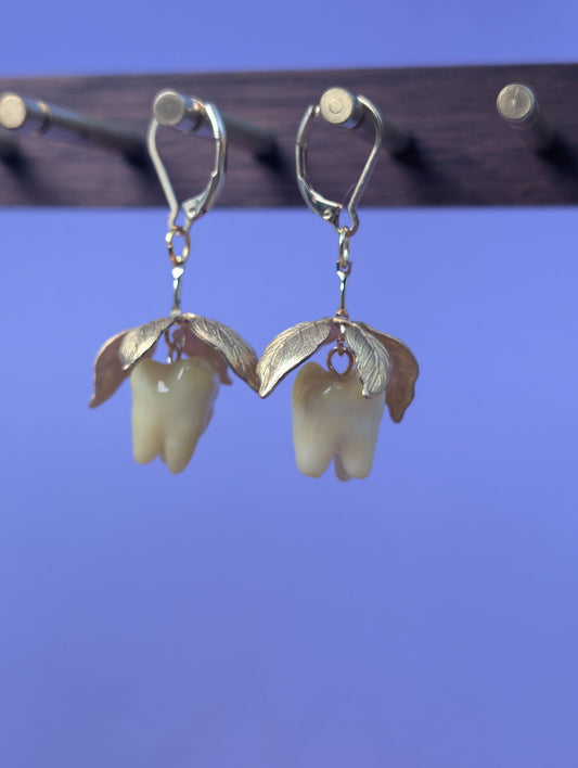 EAR-0148_0001.jpg