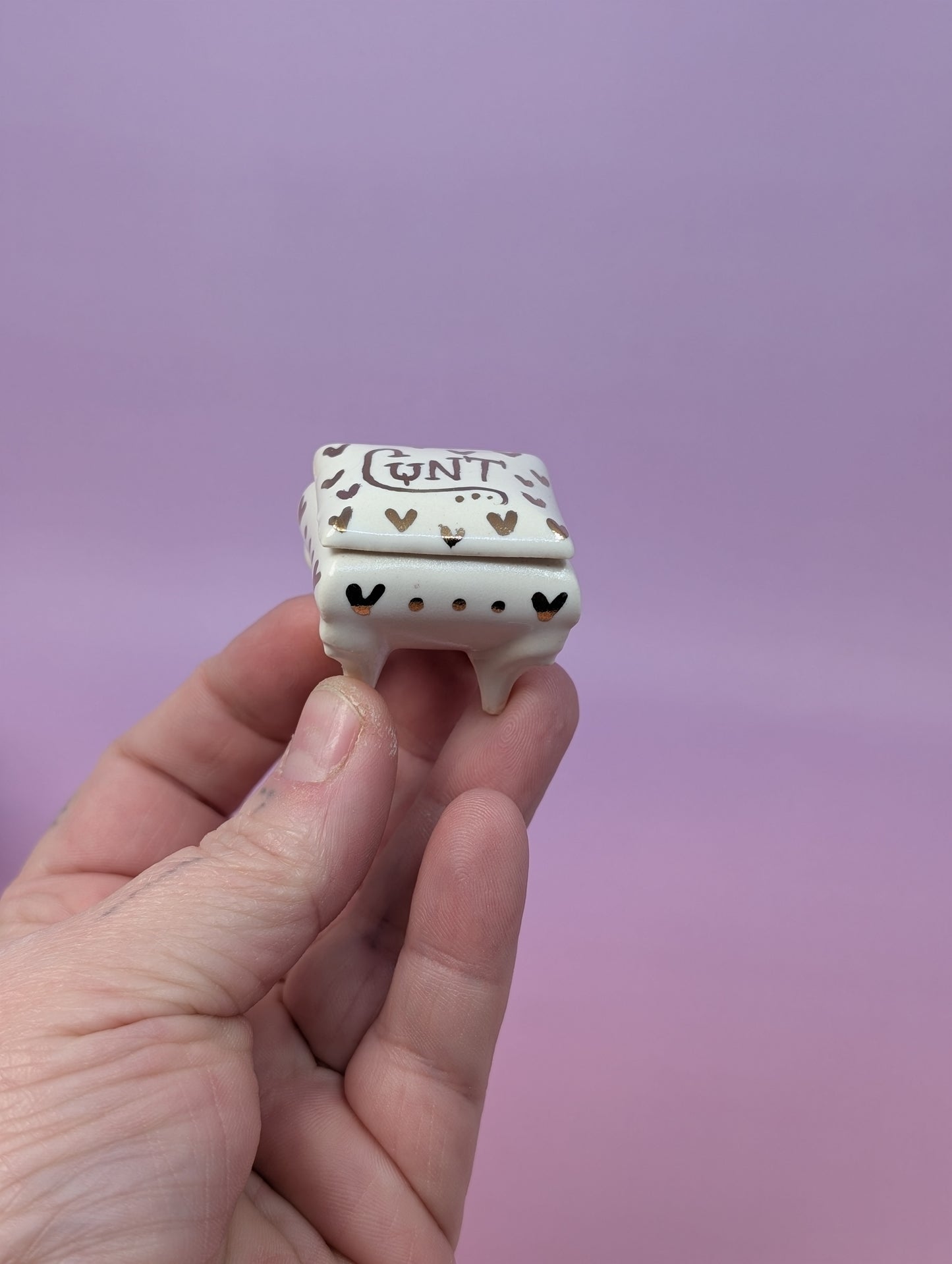 Tiny Cunty Pillbox