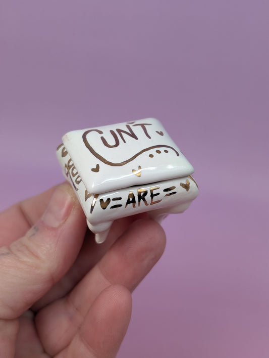 Tiny Cunty Pillbox