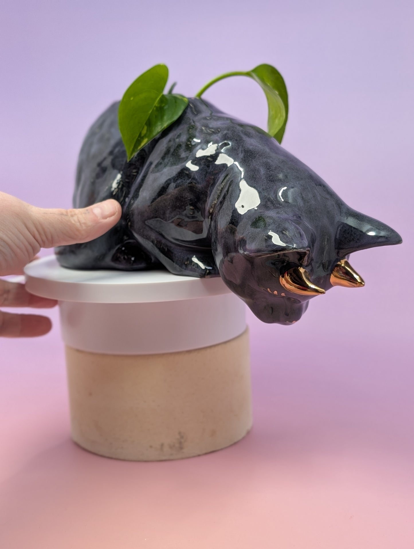Devil Dink Planter W/Gold Horns