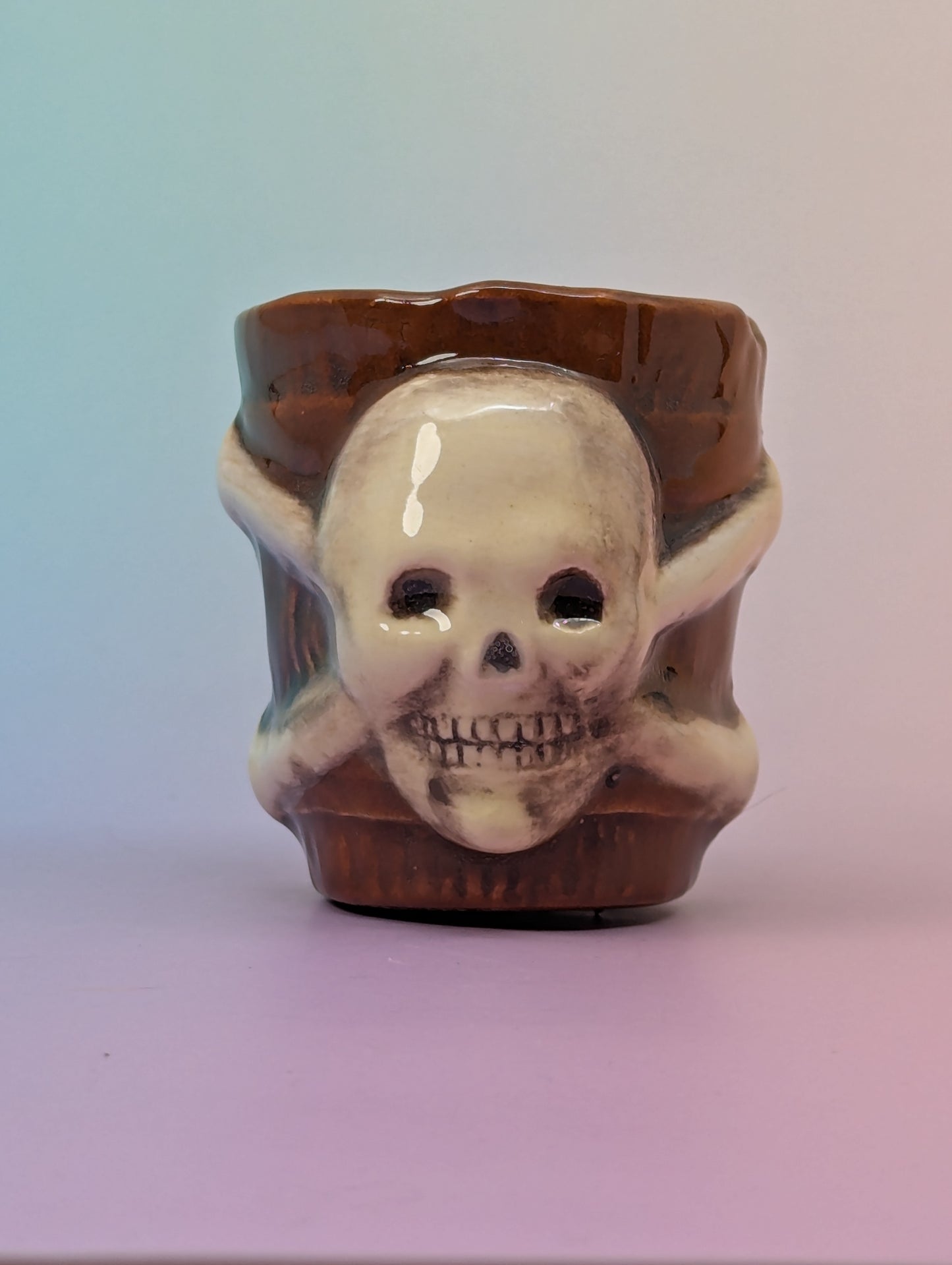 Jolly Roger Shot Glass
