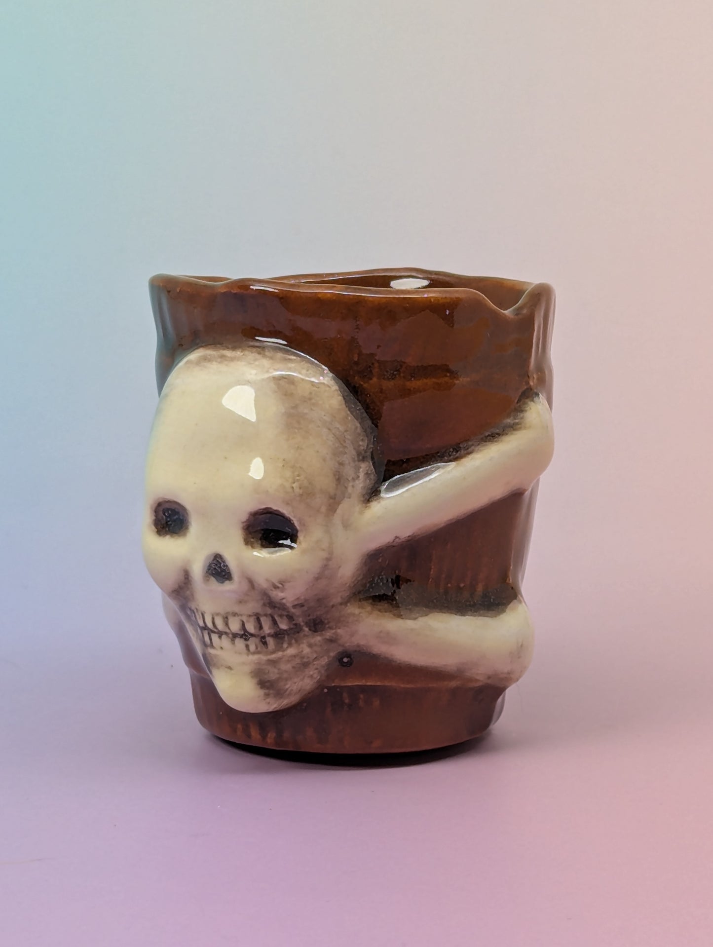 Jolly Roger Shot Glass