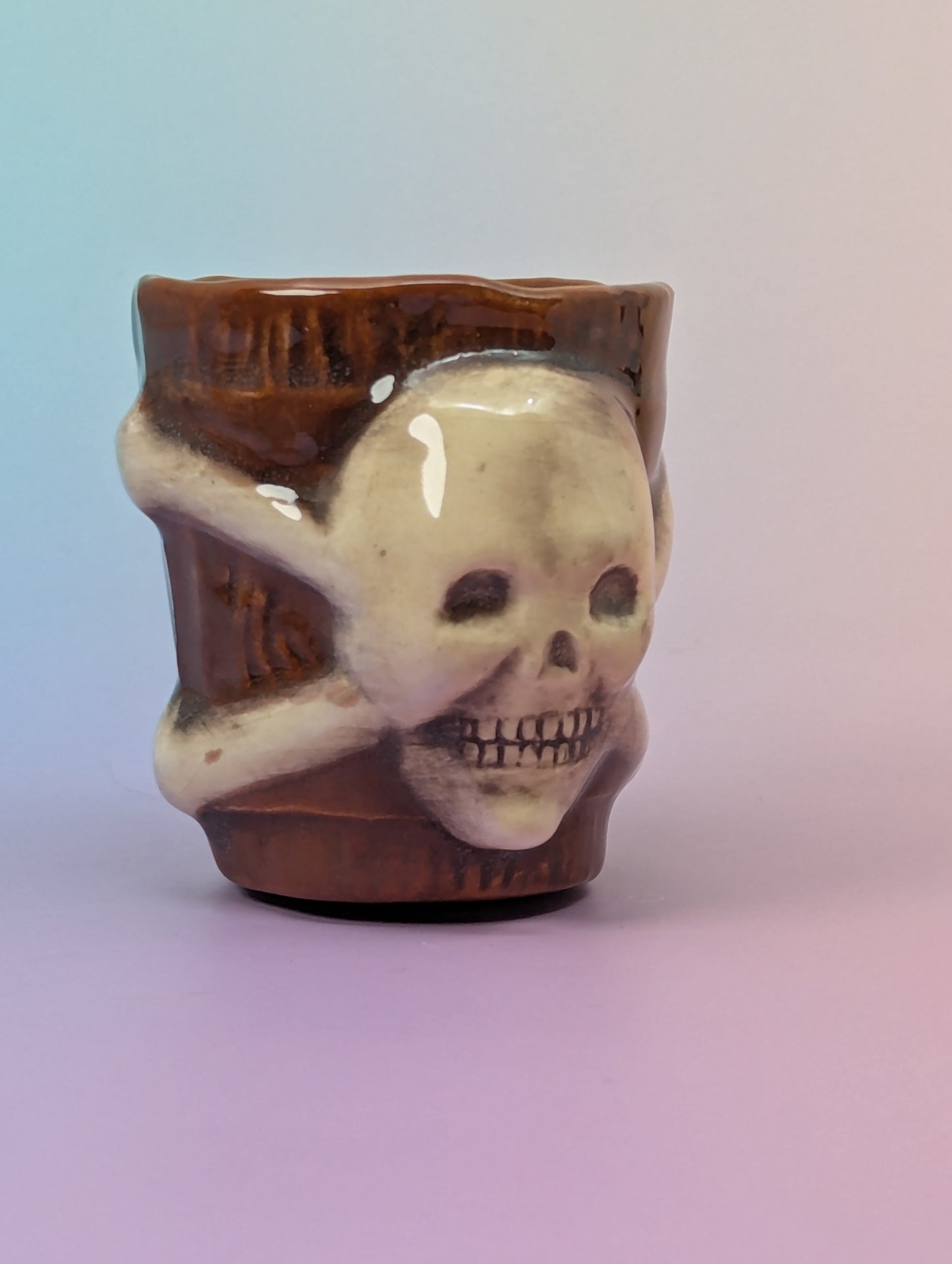 Jolly Roger Shot Glass