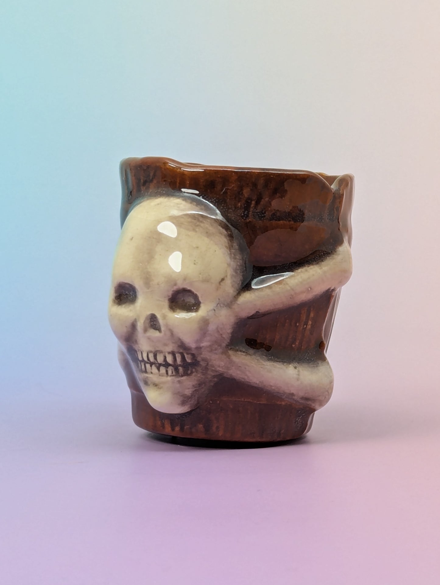 Jolly Roger Shot Glass