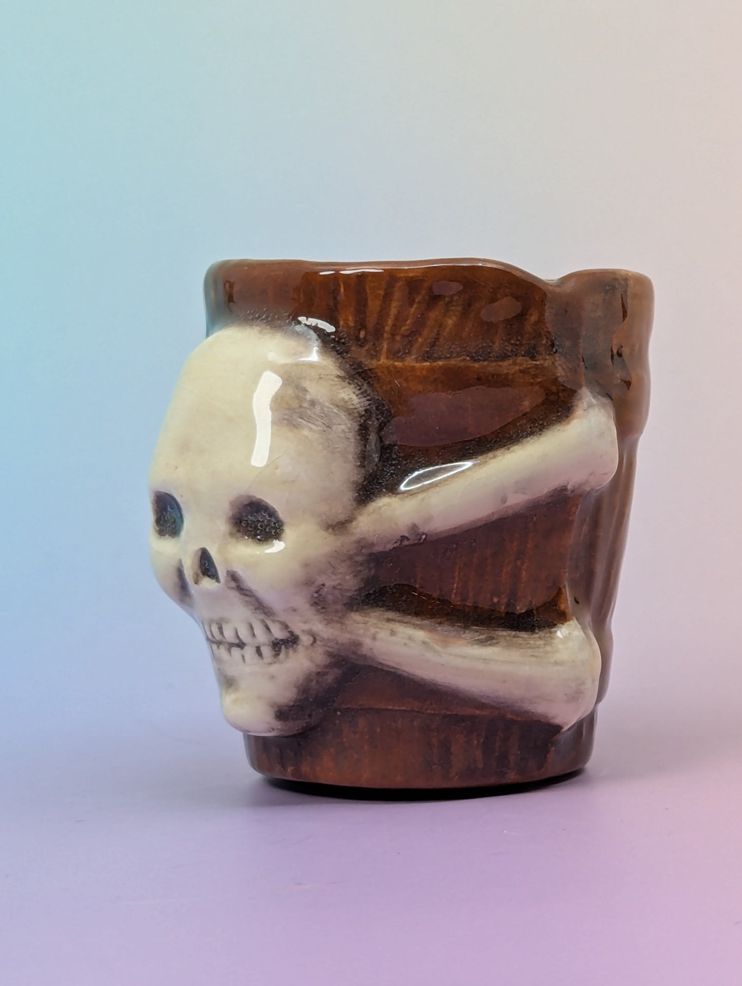 Jolly Roger Shot Glass
