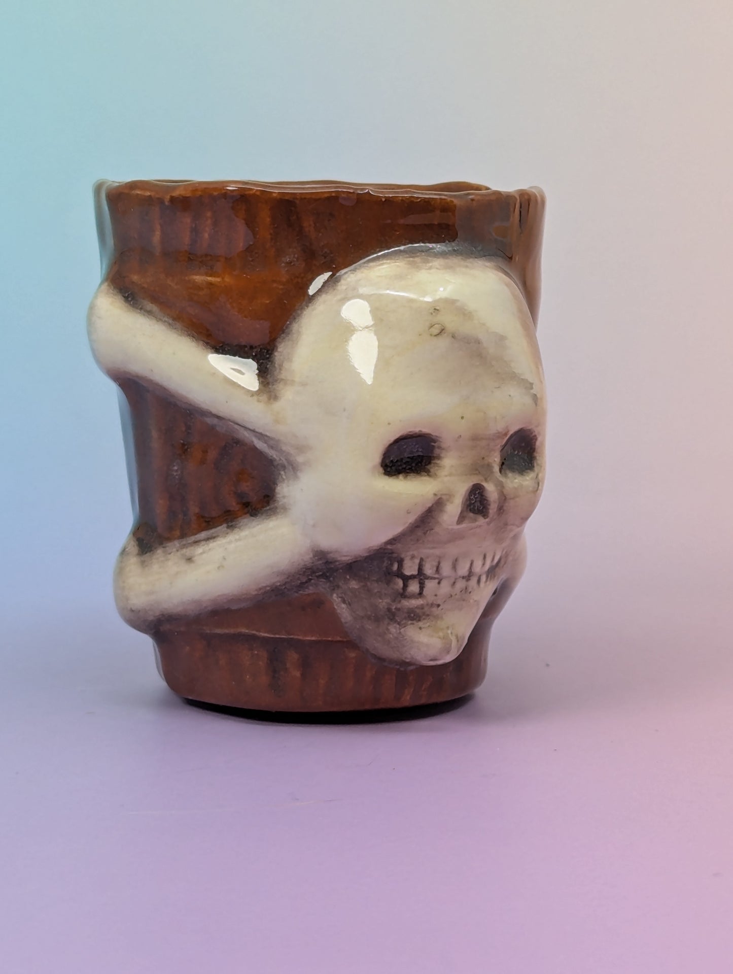 Jolly Roger Shot Glass