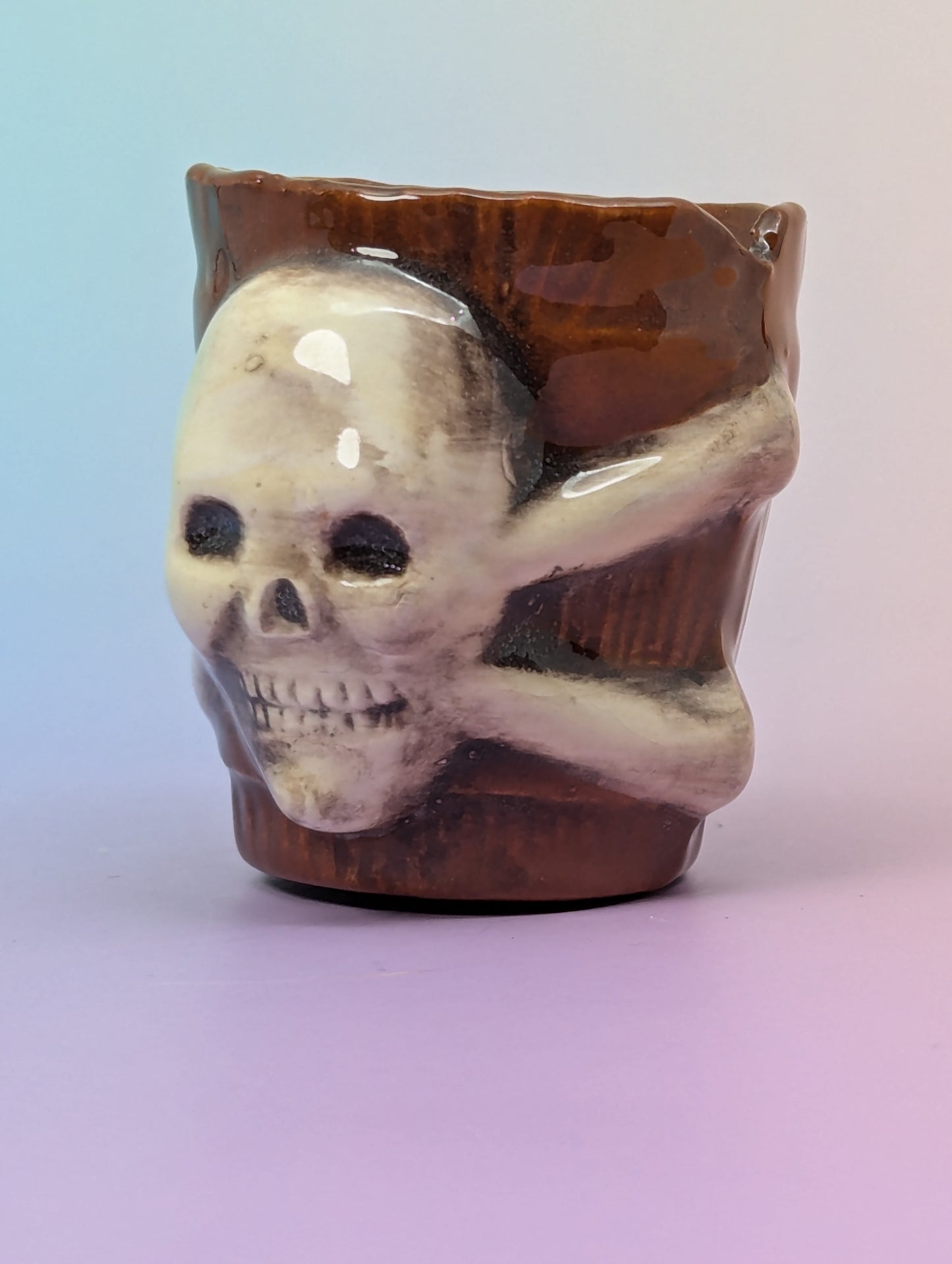 Jolly Roger Shot Glass