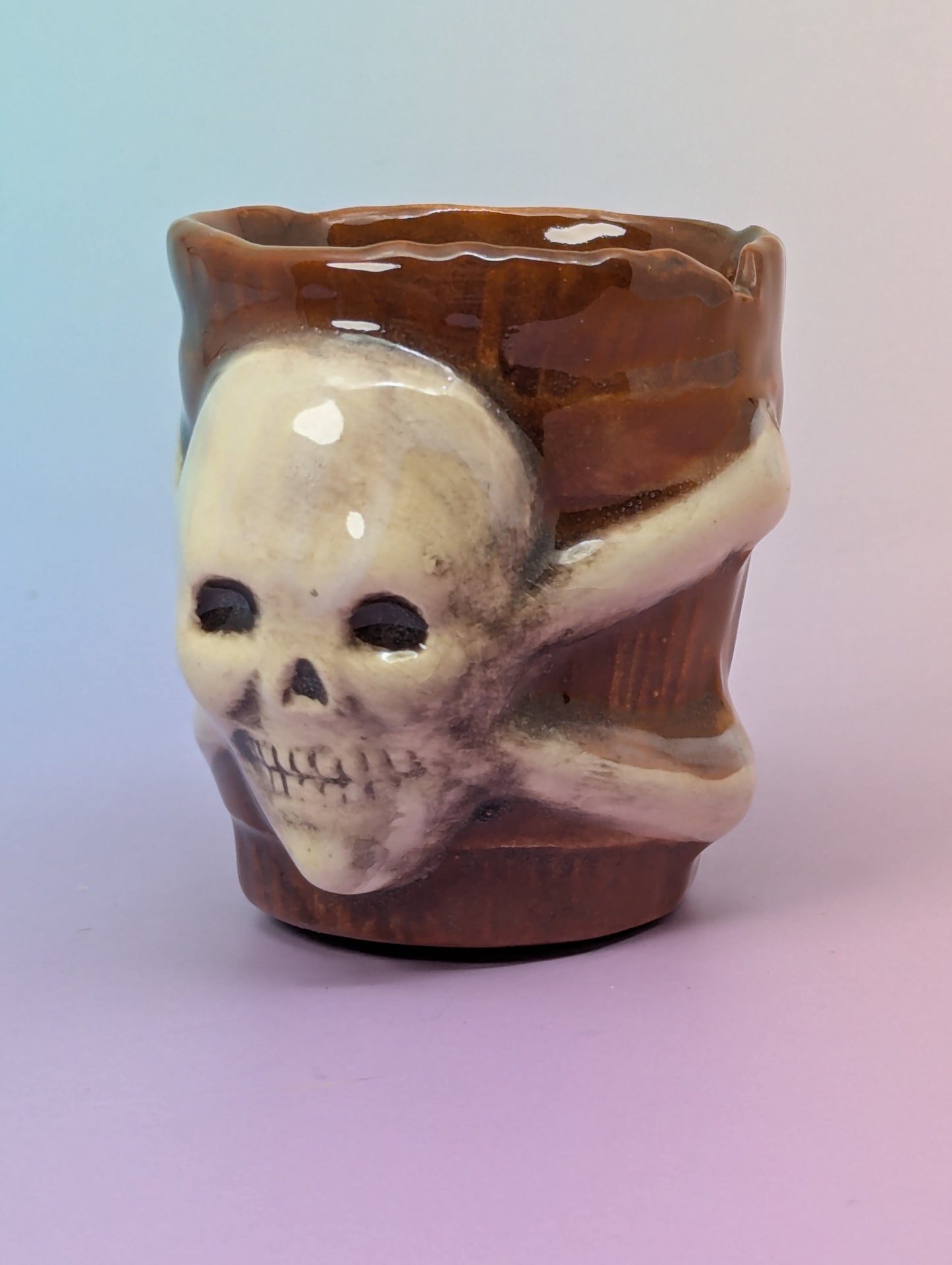 Jolly Roger Shot Glass
