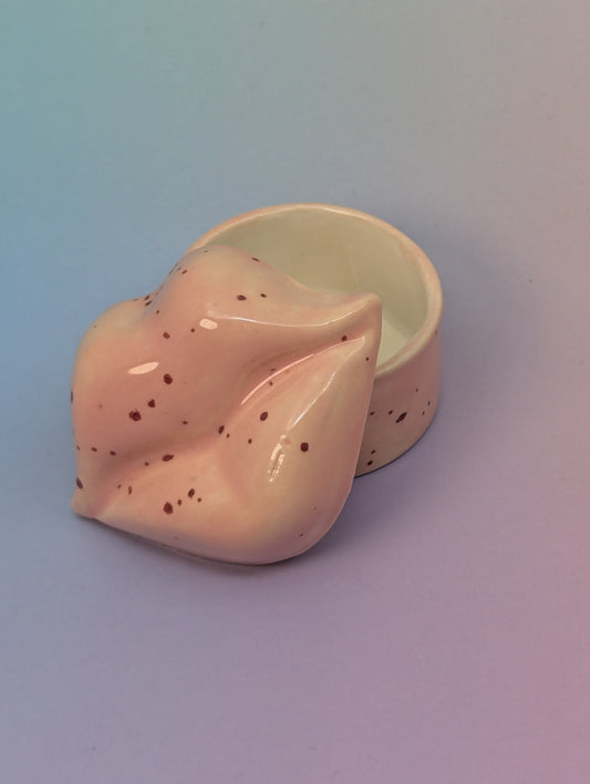 Small Lippy Pill Box