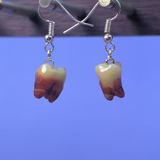 EAR-0135_0001.mp4