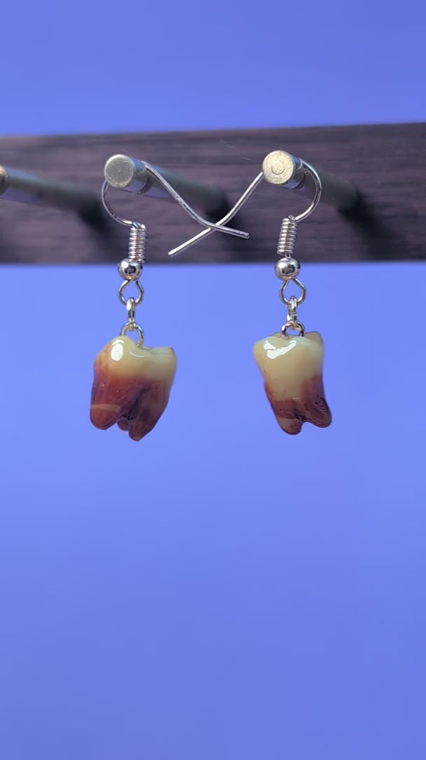 EAR-0135_0001.mp4